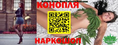 сатива Краснокаменск