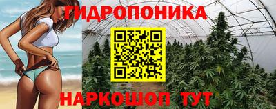 сатива Краснокаменск