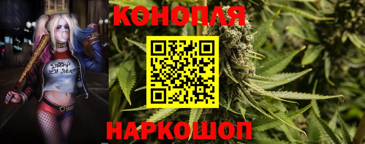Конопля планчик  Канабис семена  Бошки марихуана Ganja  Кинель  Вход с VPN 
